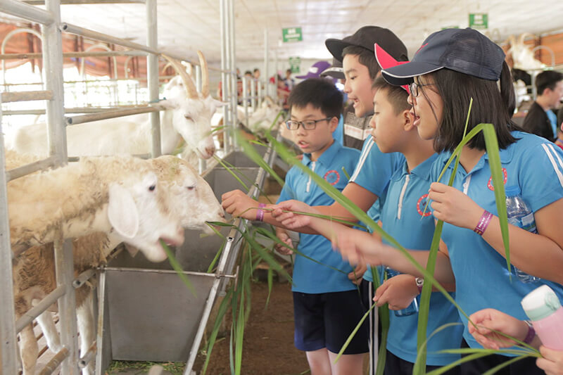 Nông trại giáo dục Detrang Farm là địa điểm khám phá và dã ngoại thích hợp cho các bạn học sinh cấp 1.