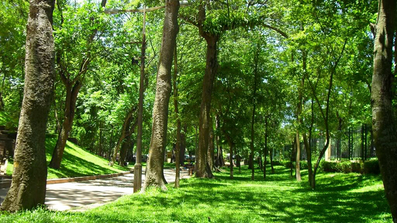 Công viên Bách Thảo ở Hà Nội