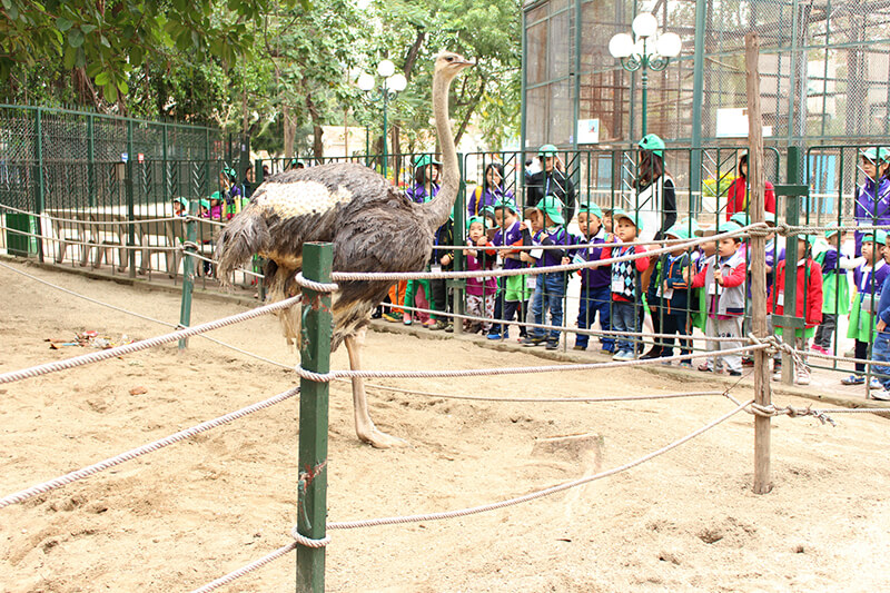 Công viên Thủ Lệ hiện đang là công viên sở thú lớn nhất ở Hà Nội