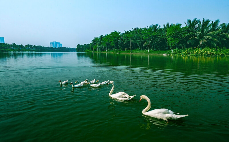 Không gian thiên nhiên rộng rãi, hồ nước trong xanh tại khu đô thị Ecopark