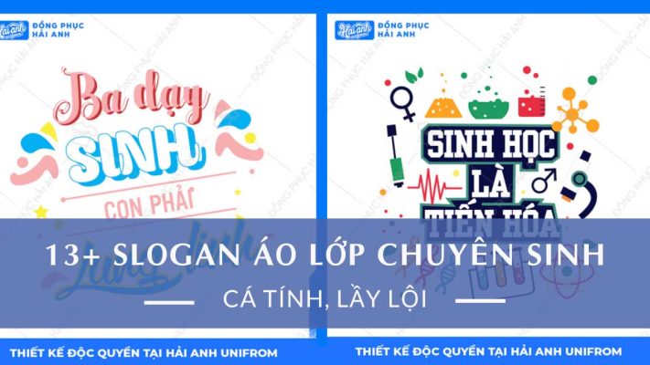 Slogan áo lớp chuyên sinh