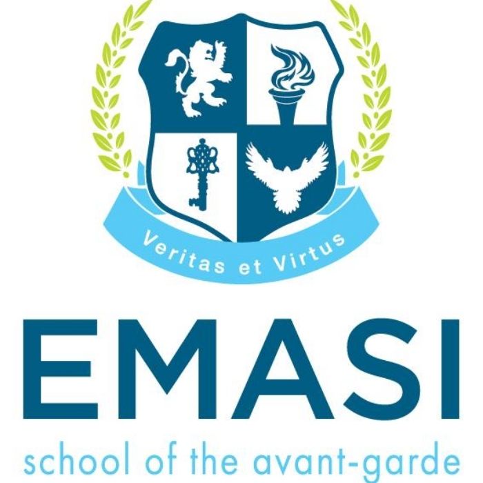 Hình ảnh logo trường quốc tế Emasi với thiết kế độc đáo