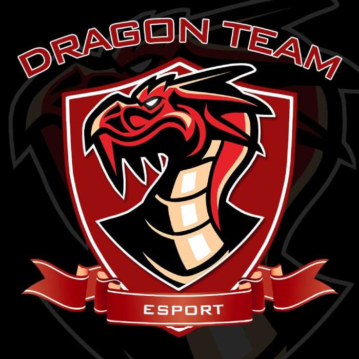 Hình in nổi bật với slogan Dragon Team