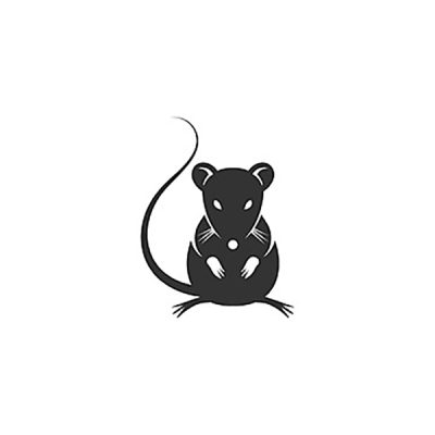 Logo áo lớp hình chuột hình 2