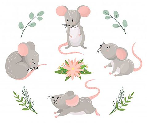 Logo áo lớp hình chuột