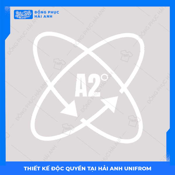 Logo chuyên toán A2