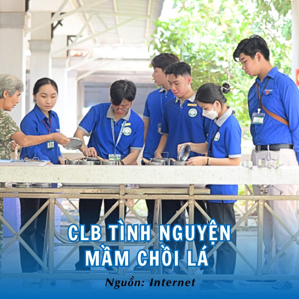 Áo polo CLB tình nguyện Mầm chồi lá trẻ trung và hiện đại