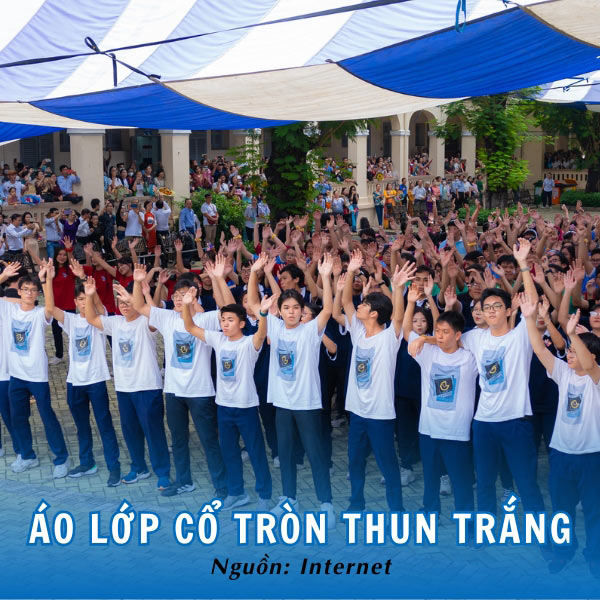 Áo lớp cổ tròn thun trắng hình in độc đáo