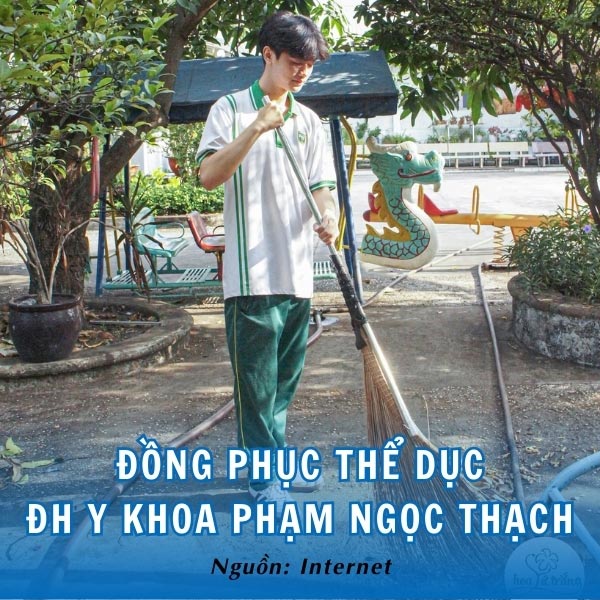 Đồ thể dục đồng phục PNT khỏe khoắn, ấn tượng