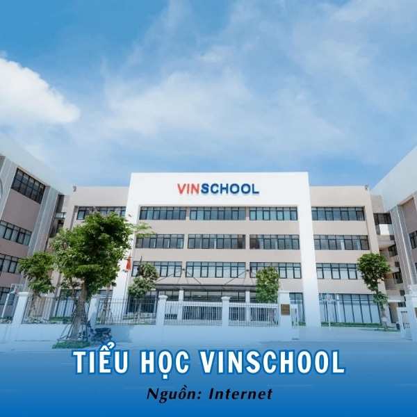 Tiểu học Vinschool: Hệ thống giáo dục chuẩn đẳng cấp quốc tế